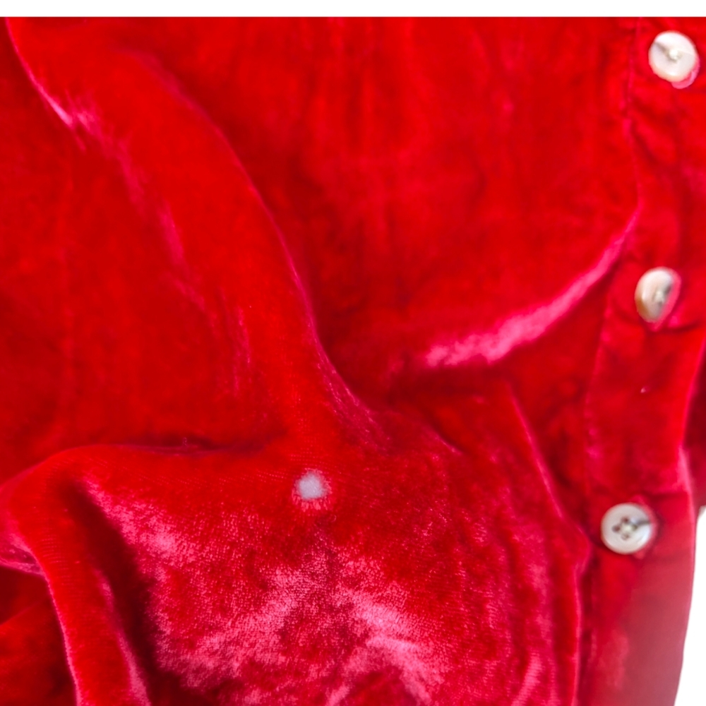 Anthropologie Pilcro Velvet Button Down Puffy Sleeve Shirt Blouse Womens XS Red - Picture 14 of 14